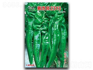 �¸���2313-�ݽz���N��-ǰ�M