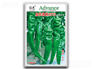 ���L����2313-�ݽz���N��-ǰ�M