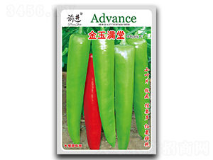 ����M��-�ݽz���N��-ǰ�M