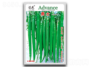 ��ʿ-�����N��-ǰ�M