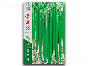 ǰ�M36-�����N��-ǰ�M