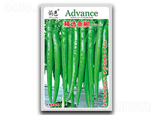 ���x�l��-�����N��-ǰ�M