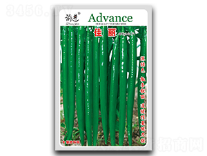 ����-�����N��-ǰ�M