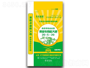 ���䌣������20-5-20-ʩ����