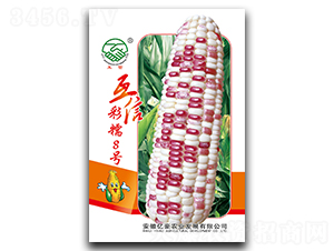 ���Ų�Ŵ8̖(h��o)-Ŵ���׷N��-�|���r(n��ng)�I(y��)