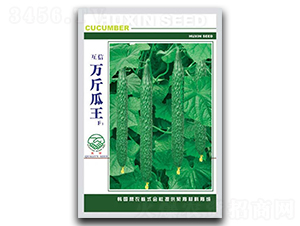 �f�����-�S�ϷN��-�|���r(n��ng)�I(y��)