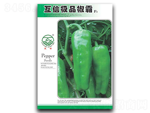 ���ŘOƷ����-�����N��-�|���r(n��ng)�I(y��)