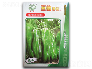 �����㽷-�����N��-�|���r(n��ng)�I(y��)