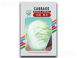 ��������-�ײ˷N��-�|���r(n��ng)�I(y��)