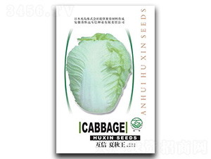 ����������-�ײ˷N��-�|���r(n��ng)�I(y��)