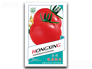 �t�S-���ѷN��-�|���r(n��ng)�I(y��)