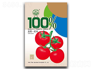 �t��-���ѷN��-�|���r(n��ng)�I(y��)