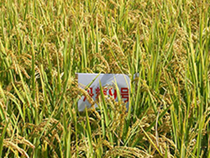 ����9̖(h��o)-ˮ���N��-����N�I(y��)