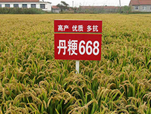 ����668̖(h��o)-ˮ���N��-����N�I(y��)