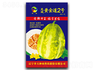 �P���S���2̖-��ϷN��-����N�I(y��)