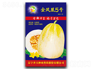 ���P��5̖-��ϷN��-����N�I(y��)