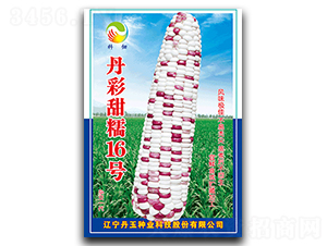 ������Ŵ16̖(h��o)-Ŵ���׷N��-����N�I(y��)