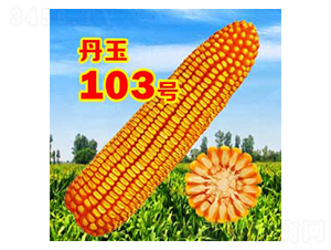 ����103̖-���׷N��-����N�I(y��)