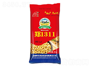 ��1311-�S���N��-���S�N�I(y��)