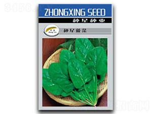 �N�ǲ���-���˷N��-�N�ǷN�I(y��)