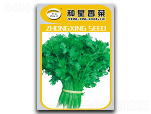 �N�����-��˷N��-�N�ǷN�I(y��)