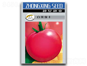 �׹����S-���ѷN��-�N�ǷN�I(y��)