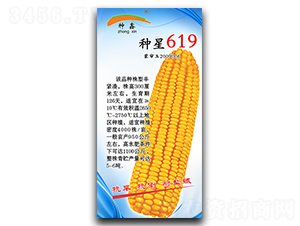 �N��619-���׷N��-�N�ǷN�I(y��)