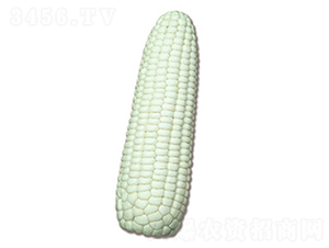 �N�ǰ�Ŵ2̖(h��o)-Ŵ���׷N��-�N�ǷN�I(y��)