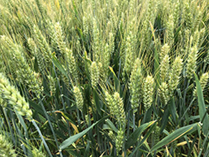 ݆�x13-С���N��-������