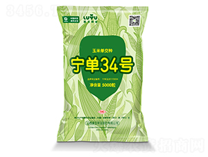 ����34-���׷N��-º��N�I(y��)