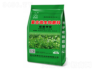 ������͏ͺ�΢�������-��ʩ��