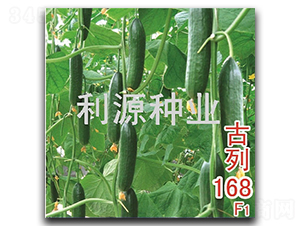 ����168-�S�ϷN��-��Դ�N�I(y��)