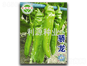 ���-�����N��-��Դ�N�I(y��)