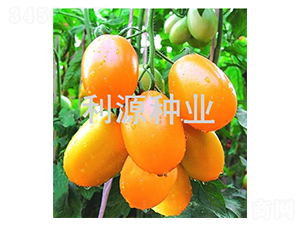 ���m��ɯ88-���ѷN��-��Դ�N�I(y��)