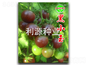 �\С��-���ҷ��ѷN��-��Դ�N�I(y��)