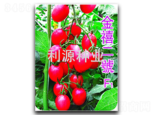 ������̖-���ҷ��ѷN��-��Դ�N�I(y��)