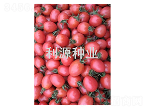 ������̖-���ҷ��ѷN��-��Դ�N�I(y��)