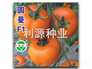 �A��-���ѷN��-��Դ�N�I(y��)