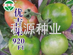 ��(y��u)����920-���ѷN��-��Դ�N�I(y��)