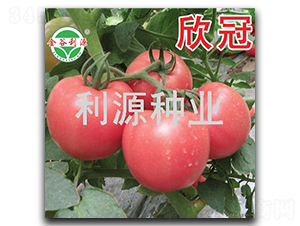 ����-���ѷN��-��Դ�N�I(y��)