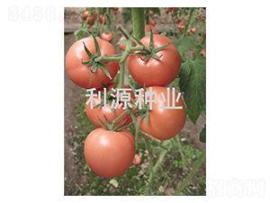 ���2̖-���ѷN��-��Դ�N�I(y��)