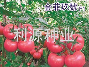 ��ƾ�̖-���ѷN��-��Դ�N�I(y��)