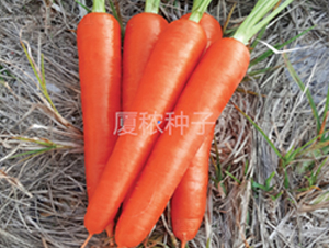 ���167-���}���N��-�B���r(n��ng)�I(y��)