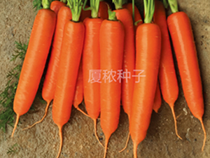 혼t�ߴ�-���}���N��-�B���r(n��ng)�I(y��)