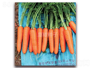 �S�tһ̖-���}���N��-�B���r(n��ng)�I(y��)