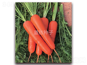 ������909-���}���N��-�B���r(n��ng)�I(y��)