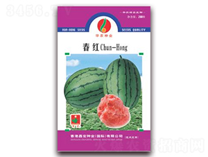 ���t-���ϷN��-�A�r(n��ng)�N�I(y��)