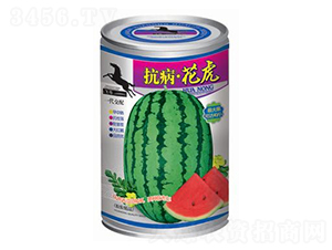 ����������-���ϷN��-�A�r(n��ng)�N�I(y��)