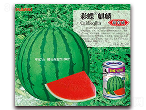 �ʵ�����-���ϷN��-�A�r(n��ng)�N�I(y��)