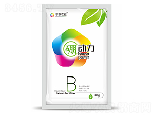 ������-��̩�r(n��ng)�I(y��)